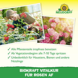 4005240019818 Sprechende Bilder Bild 4