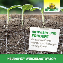 4005240002636 Sprechende Bilder Bild 6