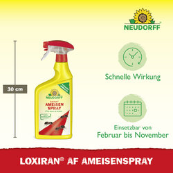 4005240023471 Sprechende Bilder Bild 3