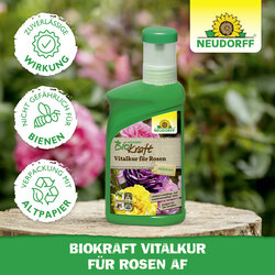 4005240019818 Sprechende Bilder Bild 5