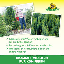 4005240019870 Sprechende Bilder Bild 4