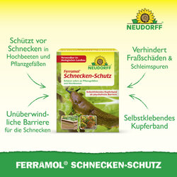 4005240009208 Sprechende Bilder Bild 2