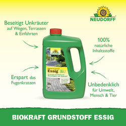 4005240019986 Sprechende Bilder Bild 2