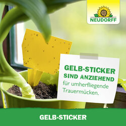4005240003183 Sprechende Bilder Bild 5