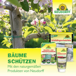 4005240008164 Sprechende Bilder Bild 7