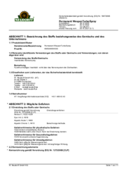 Permanent Wespen TURBOSpray