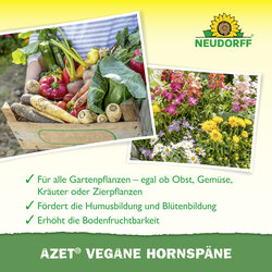 4005240025772 Sprechende Bilder Bild 4