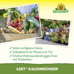 4005240023532 Sprechende Bilder Bild 4