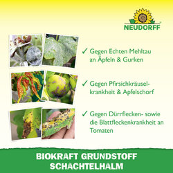 4005240019955 Sprechende Bilder Bild 4