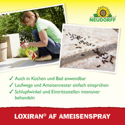 4005240023471 Sprechende Bilder Bild 4