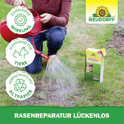 4005240005781 Sprechende Bilder Bild 6