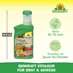 4005240019856 Sprechende Bilder Bild 3