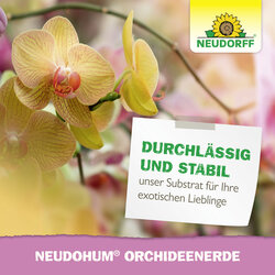 4005240009680 Sprechende Bilder Bild 7