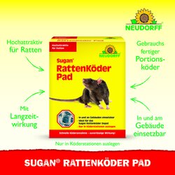 4005240030257 Sprechende Bilder Bild 2