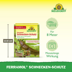 4005240009208 Sprechende Bilder Bild 3