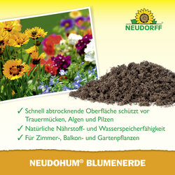 4005240009987 Sprechende Bilder Bild 4