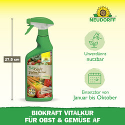 4005240019863 Sprechende Bilder Bild 3