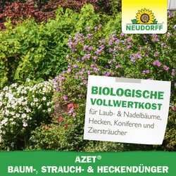 4005240001660 Sprechende Bilder Bild 6
