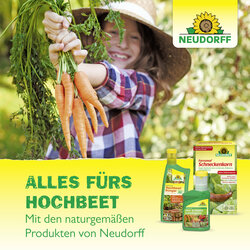 4005240023808 Sprechende Bilder Bild 7