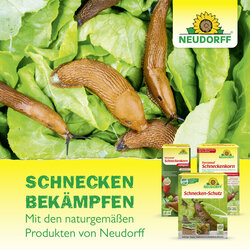 4005240009208 Sprechende Bilder Bild 7