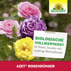 4005240001639 Sprechende Bilder Bild 6