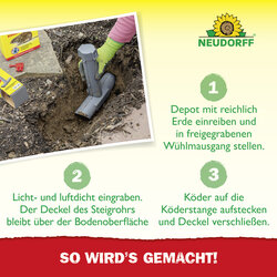 4005240020722 Sprechende Bilder Bild 5