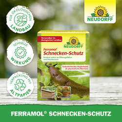 4005240009208 Sprechende Bilder Bild 5