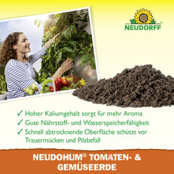 4005240009697 Sprechende Bilder Bild 4