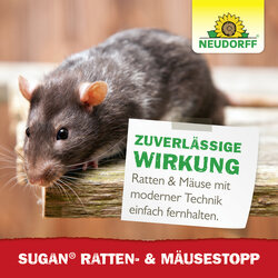 4005240030387 Sprechende Bilder Bild 6