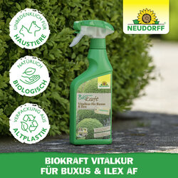 4005240019849 Sprechende Bilder Bild 5