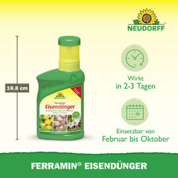 4005240025826 Sprechende Bilder Bild 3