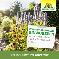 4005240009963 Sprechende Bilder Bild 7