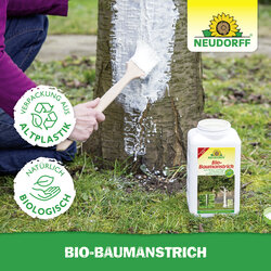 4005240008164 Sprechende Bilder Bild 5