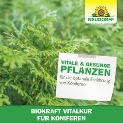4005240019870 Sprechende Bilder Bild 6