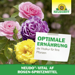 4005240033296 Sprechende Bilder Bild 6