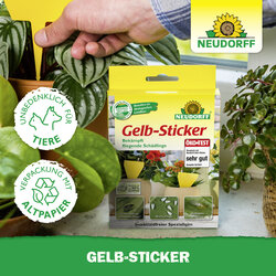 4005240003183 Sprechende Bilder Bild 7