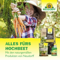 4005240025635 Sprechende Bilder Bild 8