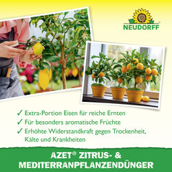 4005240012147 Sprechende Bilder Bild 4