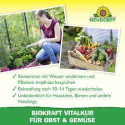 4005240019856 Sprechende Bilder Bild 4