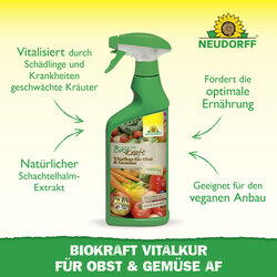 4005240019863 Sprechende Bilder Bild 2