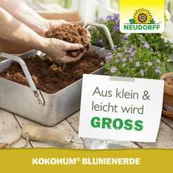 4005240002704 Sprechende Bilder Bild 6