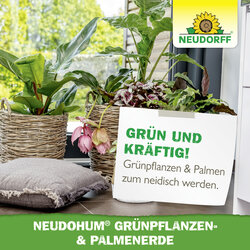 4005240050781 Sprechende Bilder Bild 7