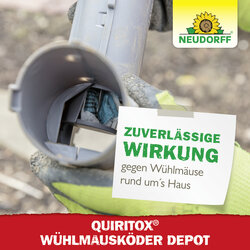 4005240020722 Sprechende Bilder Bild 7