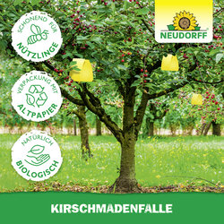 4005240003244 Sprechende Bilder Bild 5