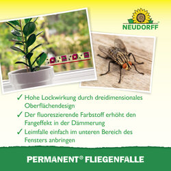 4005240025574 Sprechende Bilder Bild 4
