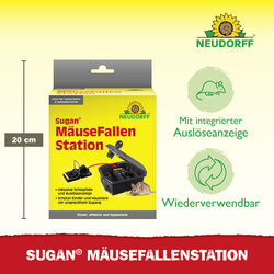 4005240033883 Sprechende Bilder Bild 3