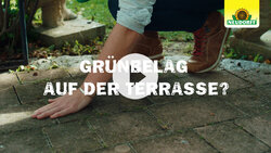 Wege von Grünbelag befreien - So einfach
