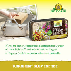 4005240002704 Sprechende Bilder Bild 4