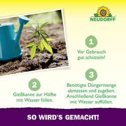4005240025840 Sprechende Bilder Bild 5