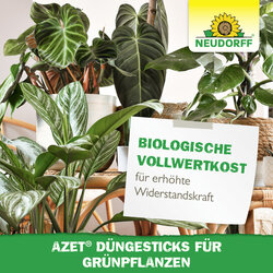 4005240030622 Sprechende Bilder Bild 6